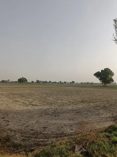 Kanadiya, Madhya Pradesh 452016, India preview 2
