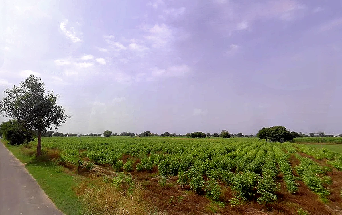 X8CR+FWC, NH 19, Khatela Sarai, Haryana 121105, India