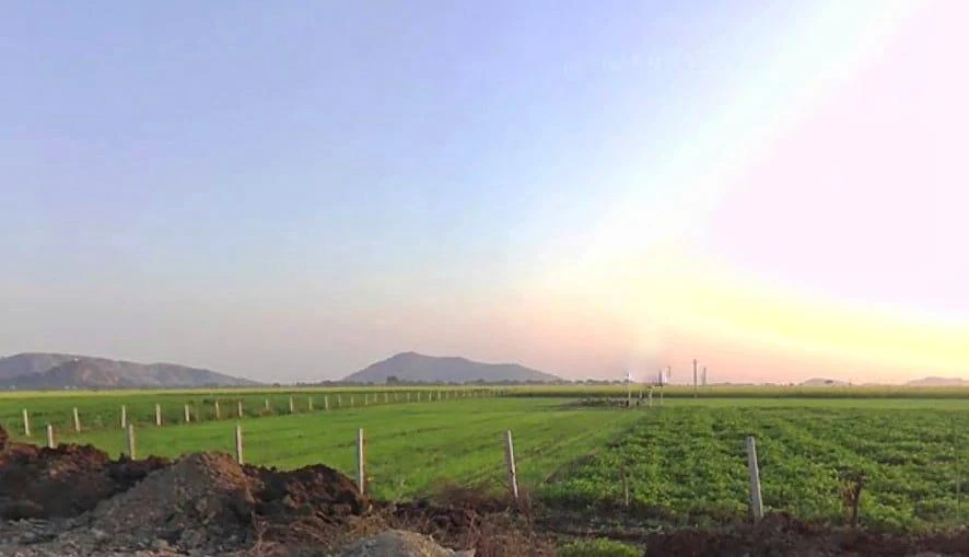 7W22+4H Dadiyan, Rajasthan, India