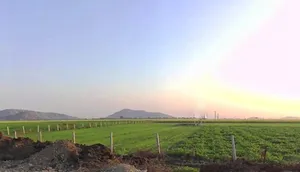 7W22+4H Dadiyan, Rajasthan, India preview 2