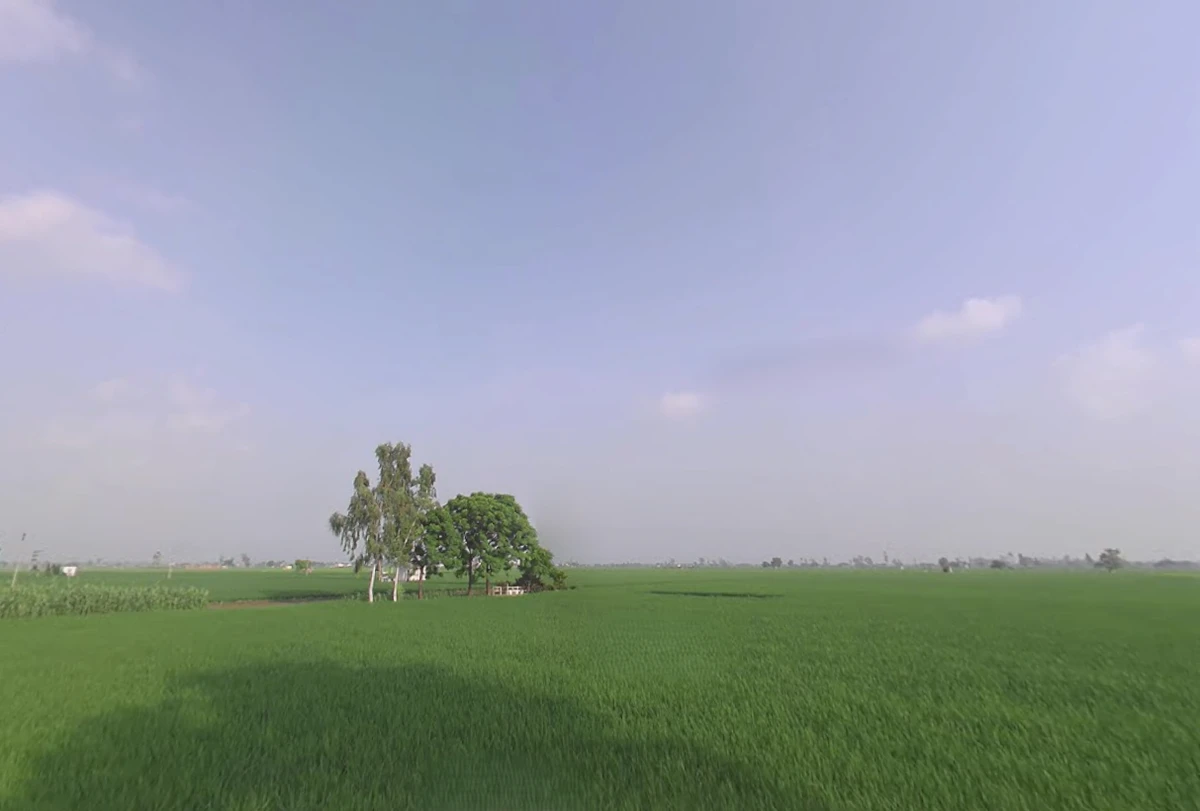Kaithal, Haryana 136027, India