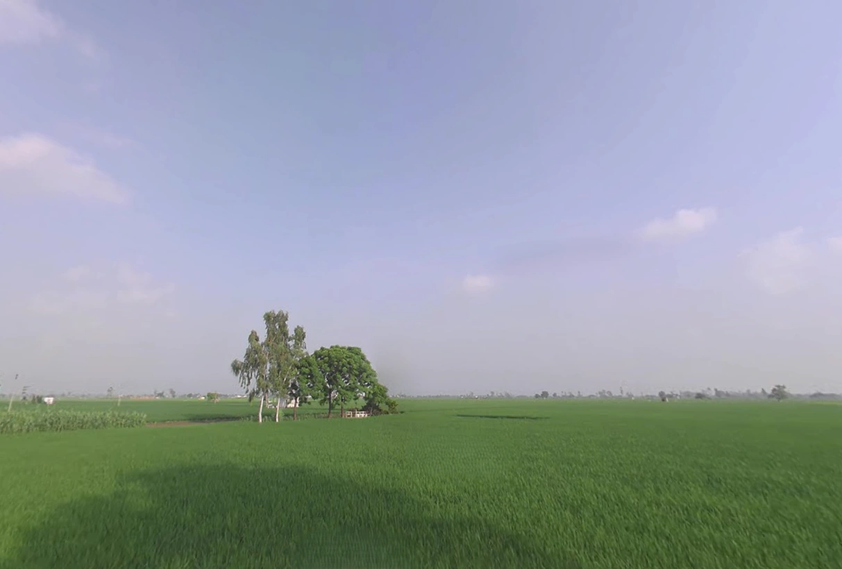 Kaithal, Haryana 136027, India