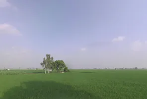 Kaithal, Haryana 136027, India preview 3