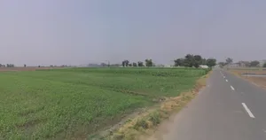 Lakadia, Gujarat 370145, India preview 3