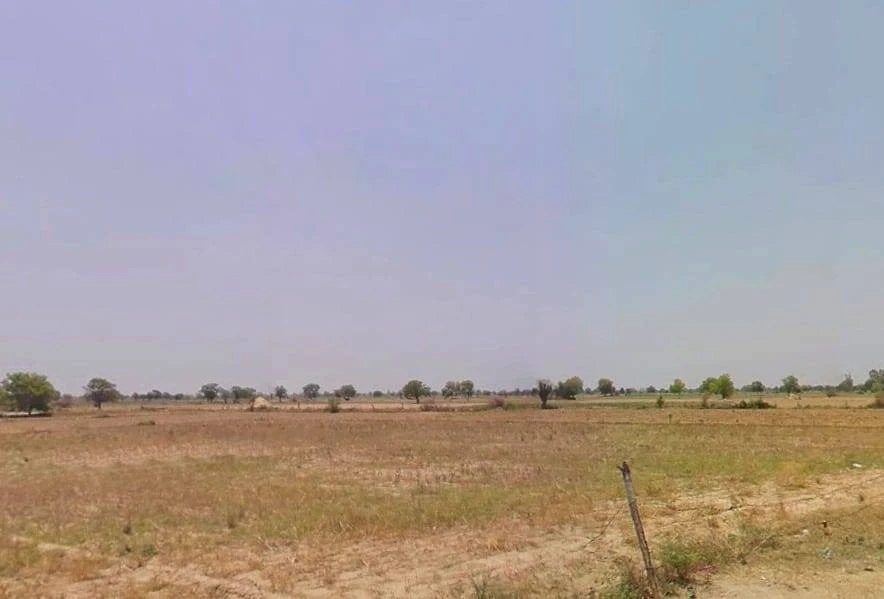 Ghoghrian, Haryana 126115, India
