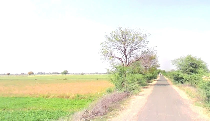 Tarawali, Madhya Pradesh 464551, India