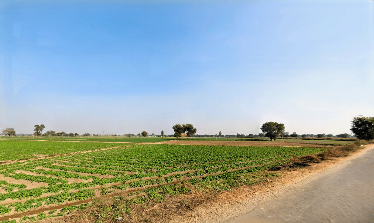 Barwa, Haryana 127045, India