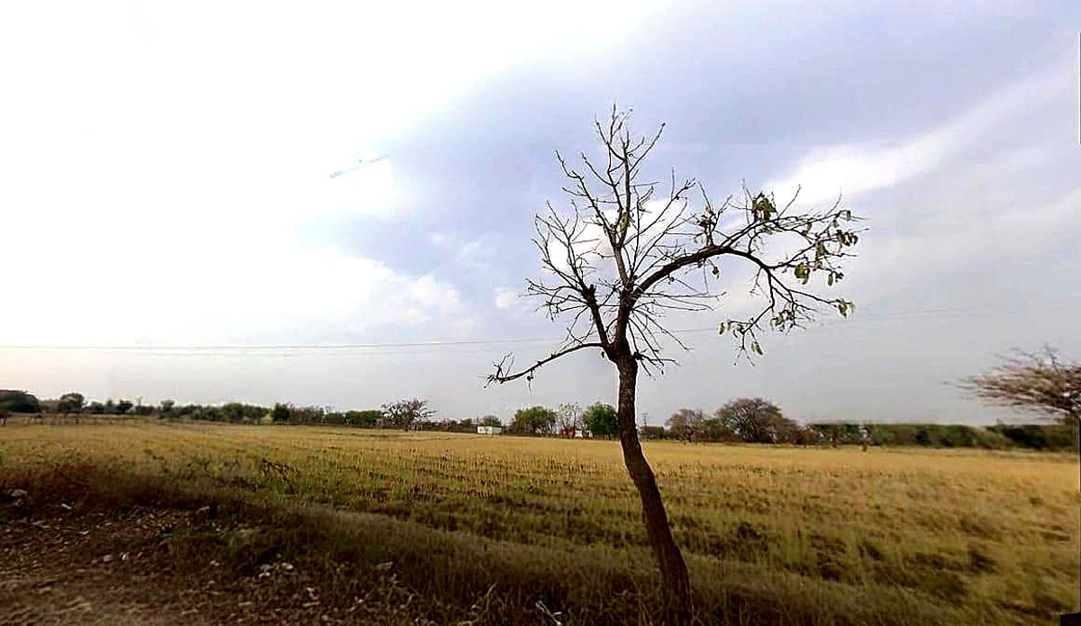 C98X+93P, Richhoda, Madhya Pradesh 465220, India