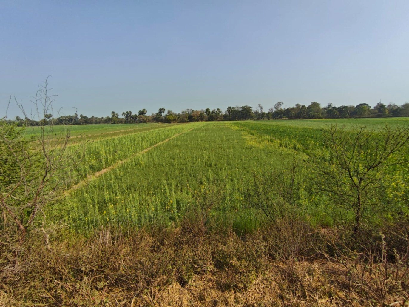 Dudhali, Muzaffarnagar, Uttar Pradesh 251201, India preview 3