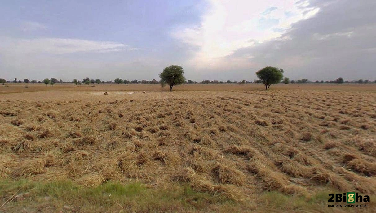 Bapoli, Haryana 134202, India