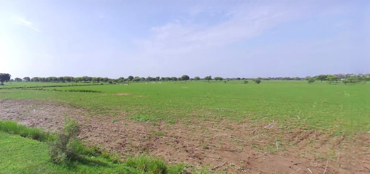 Rohtak, Haryana, India
