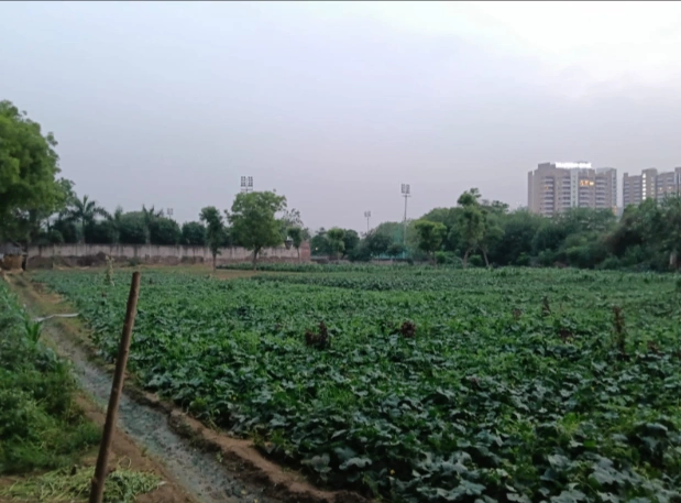 MMX5+C5 Rata Khurd, Khairthal-Tijara, Rajasthan, India preview 3