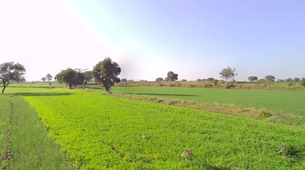 Chirula, Madhya Pradesh, India