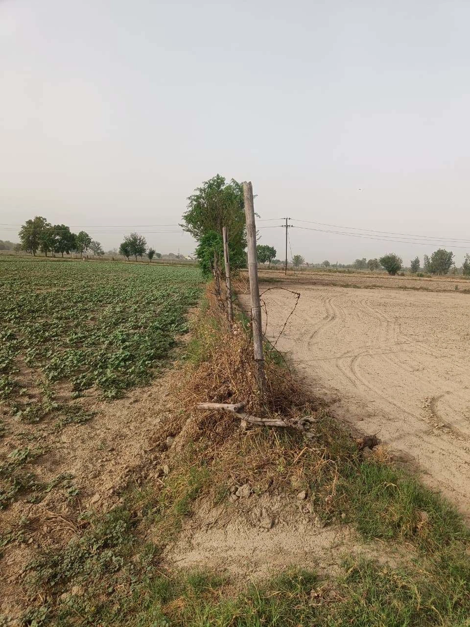 Aou, Rajasthan, India