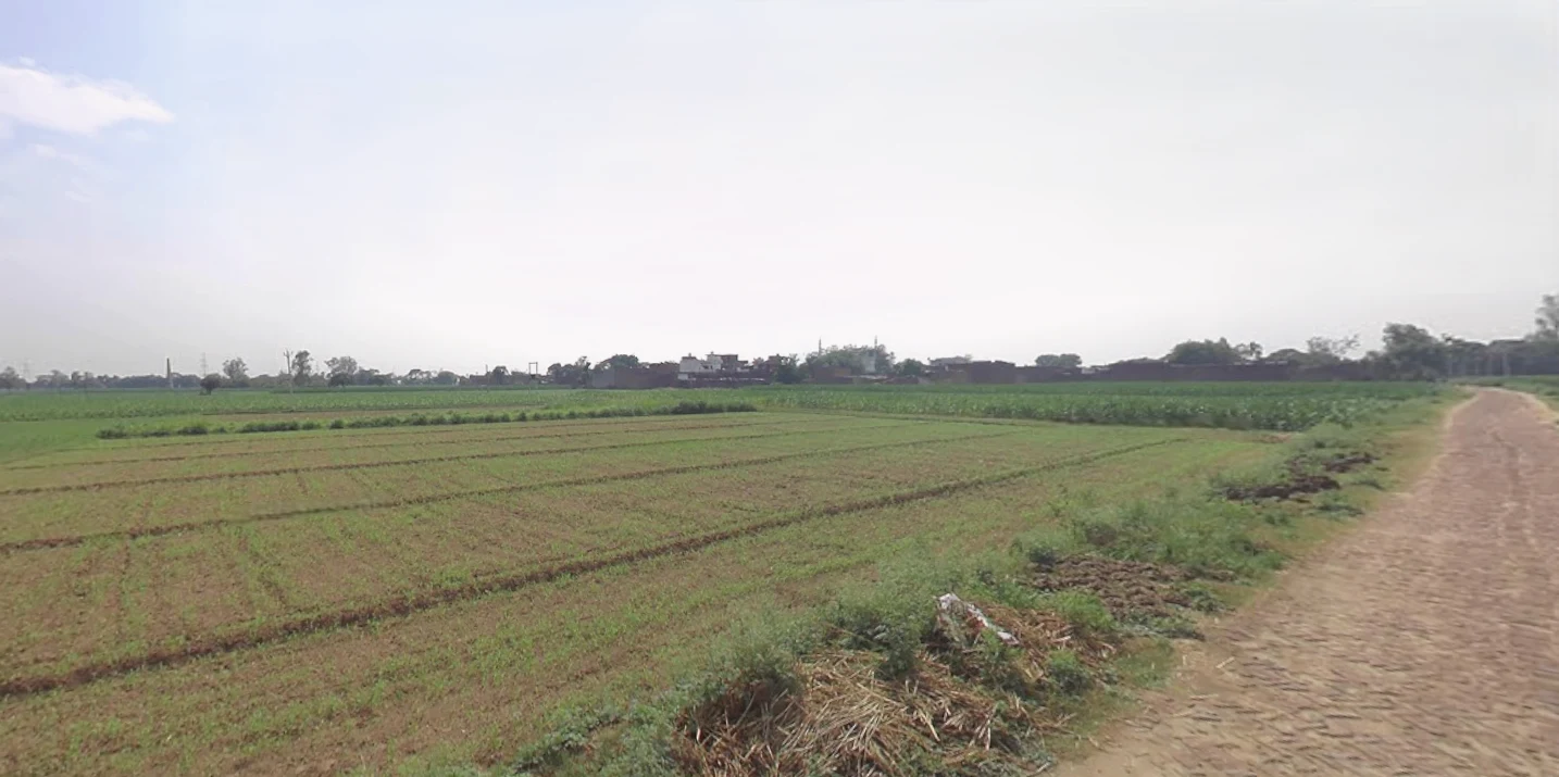 Dhanaura, Uttar Pradesh 244231, India
