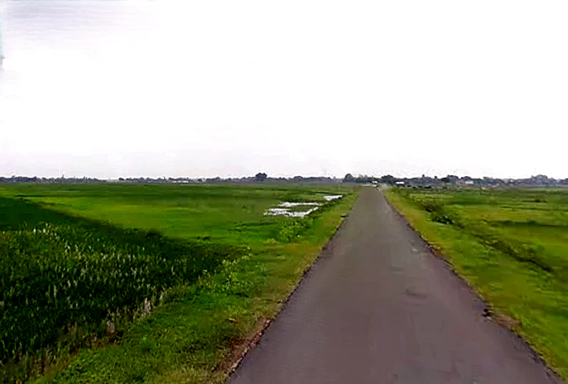 Madaraha, Uttar Pradesh 212308, India preview 2