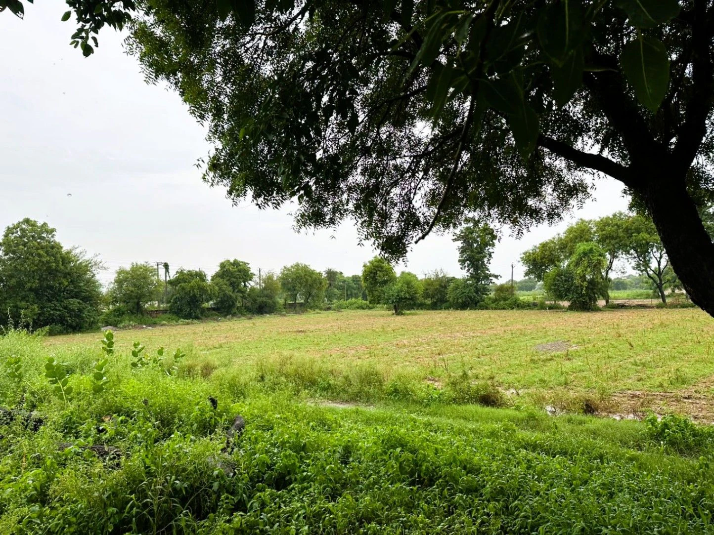 Kharoda, Haryana 122103, India