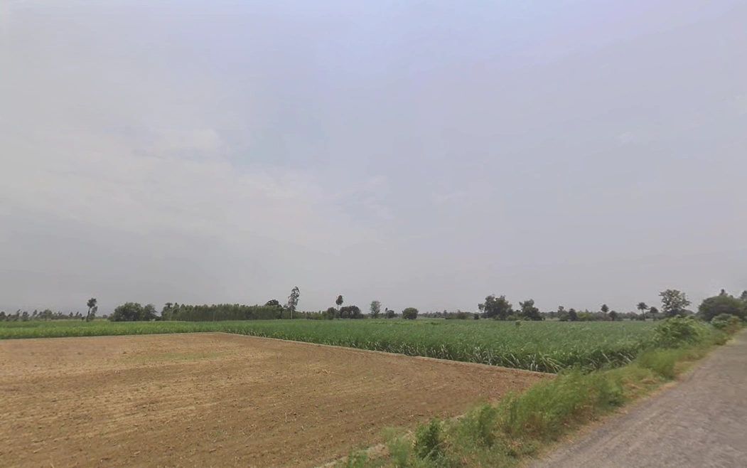 Jemua, West Bengal, India