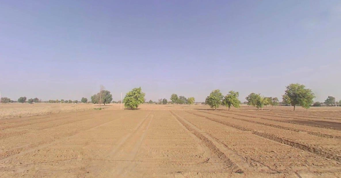 Katriyasar, Rajasthan 334022, India