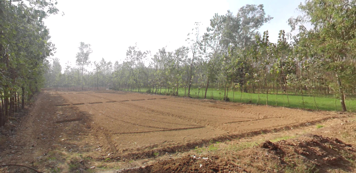 Dada Patti, Uttarakhand 247662, India