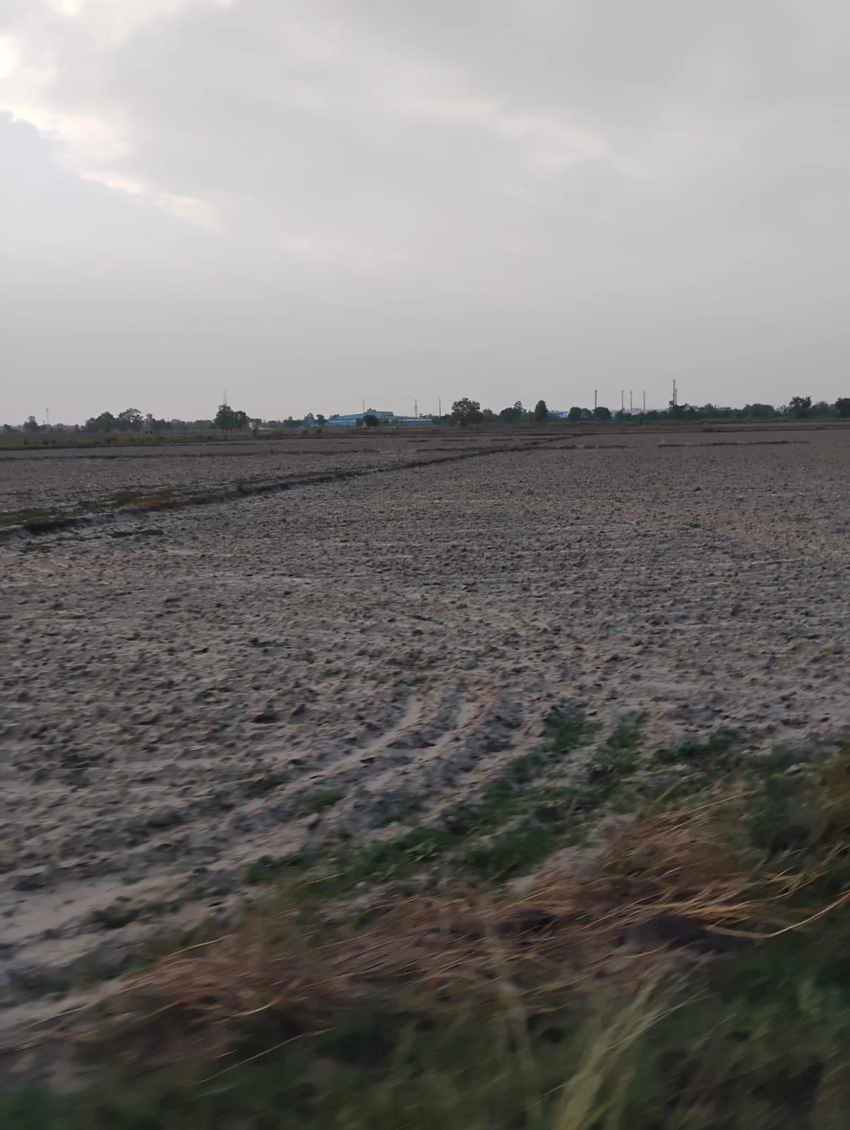 Bishambhara, Uttar Pradesh 281404, India