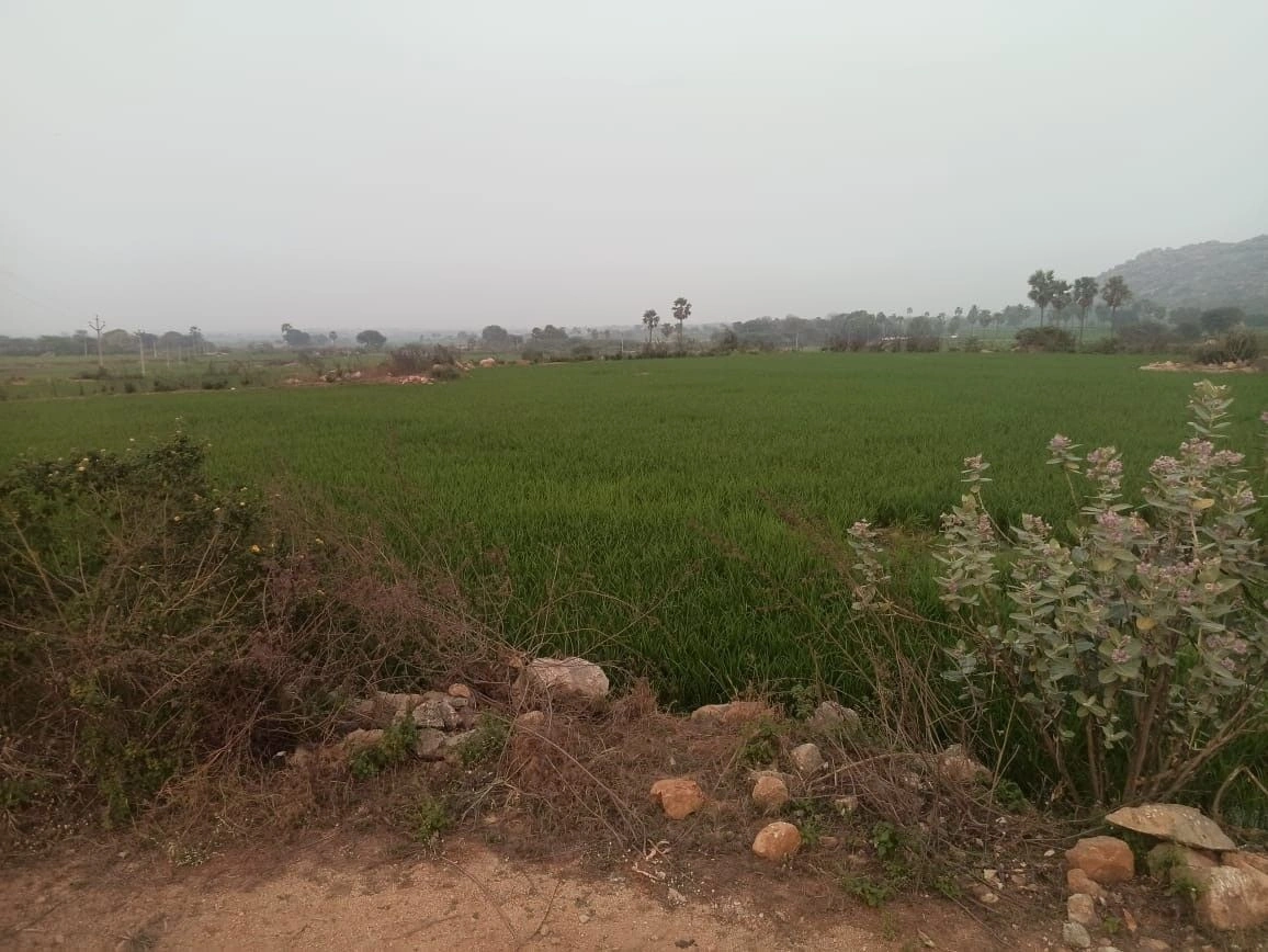 Indrapalanagar, Telangana 508112, India