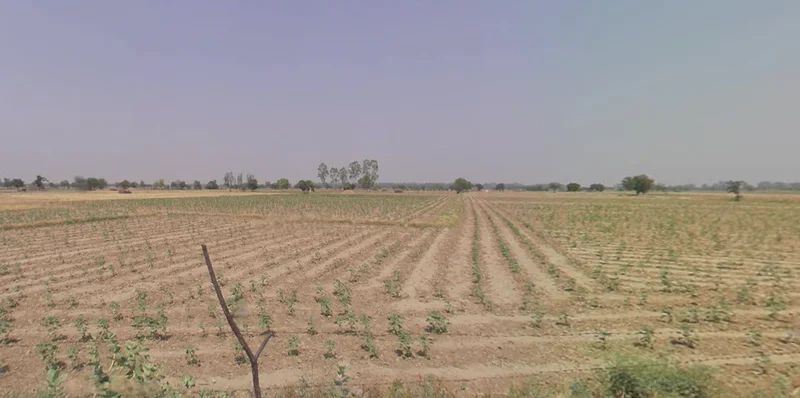 Rajarhat, Kolkata, West Bengal, India preview 2