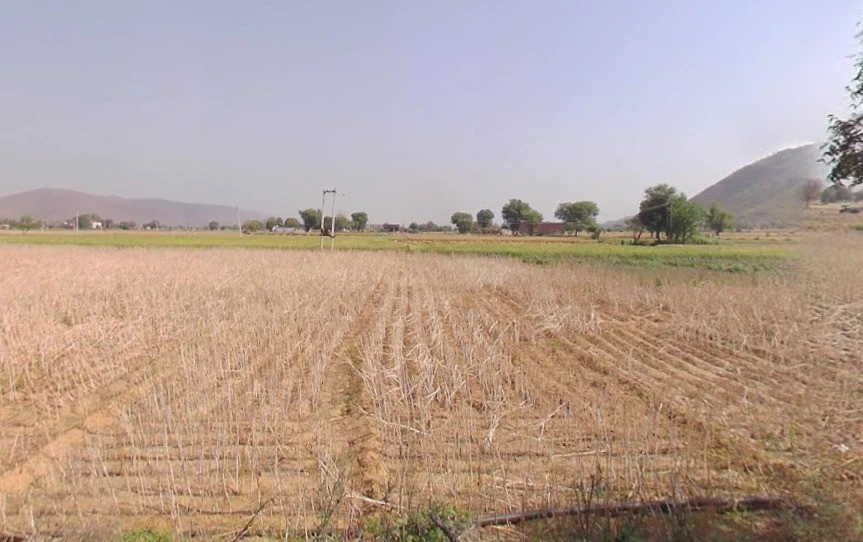 MQMW+QHG, Dhaneta, Rajasthan 301025, India