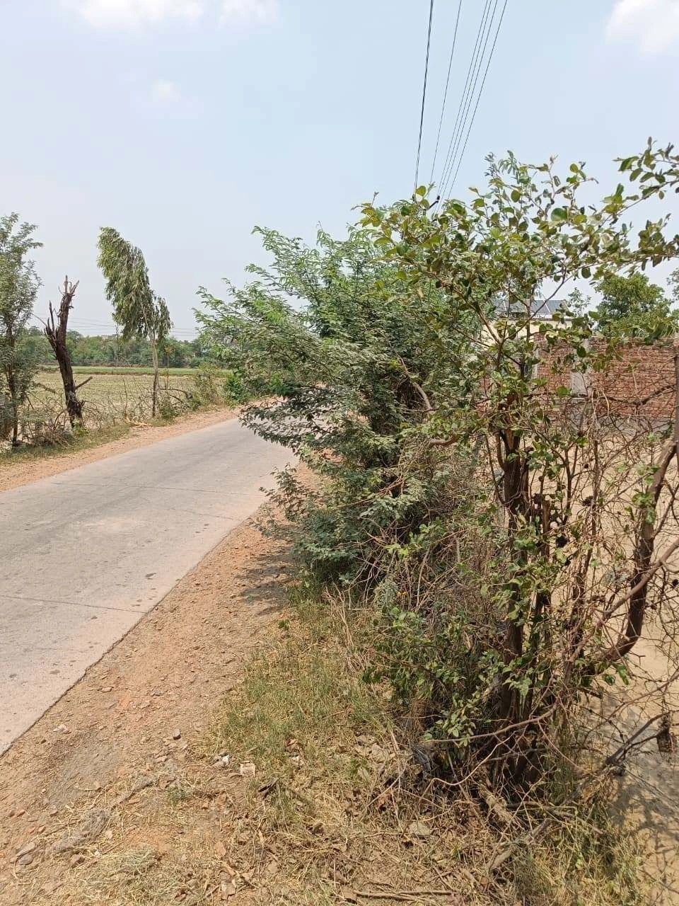 Gharwari, Rajasthan 321201, India