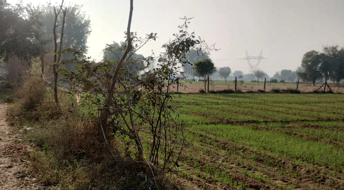 Ajnala, Punjab 143102, India
