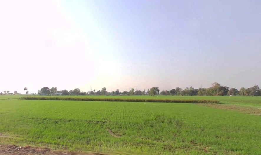 Tonk Road, Jaipur, Rajasthan 302015, India