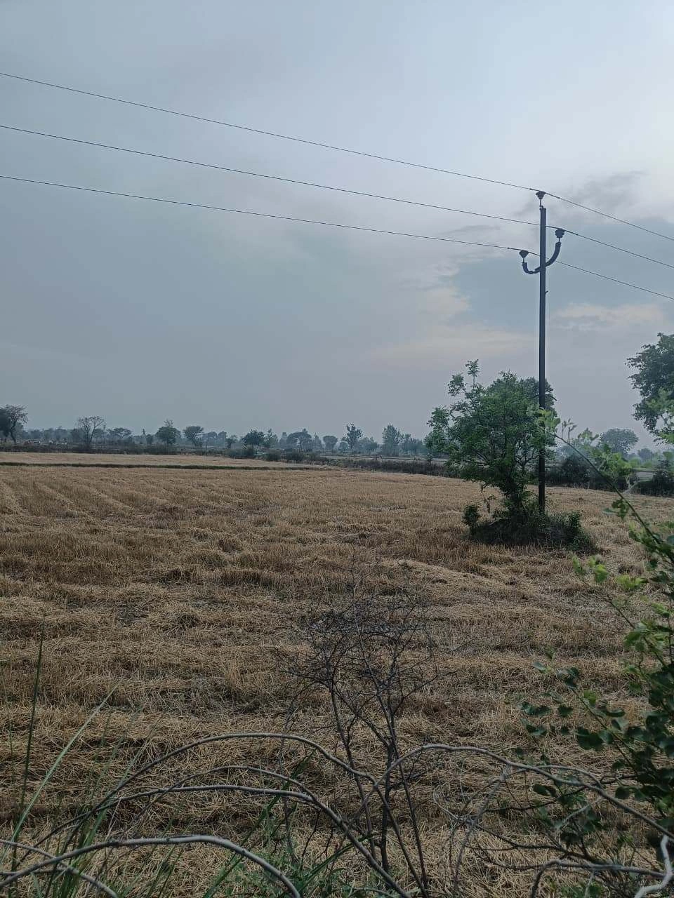 Ajijpur, Uttar Pradesh, India