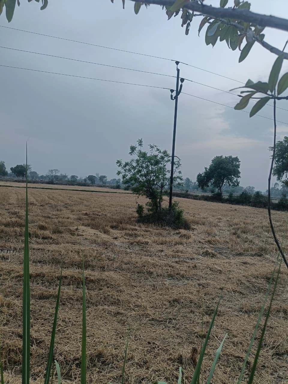 Ajijpur, Uttar Pradesh, India