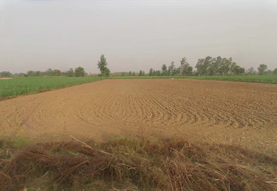 Bhagwanpur, Uttar Pradesh 245207, India