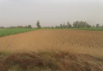 Bhagwanpur, Uttar Pradesh 245207, India preview 3