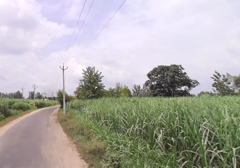 Behat Dehat, Uttar Pradesh 247121, India preview 3