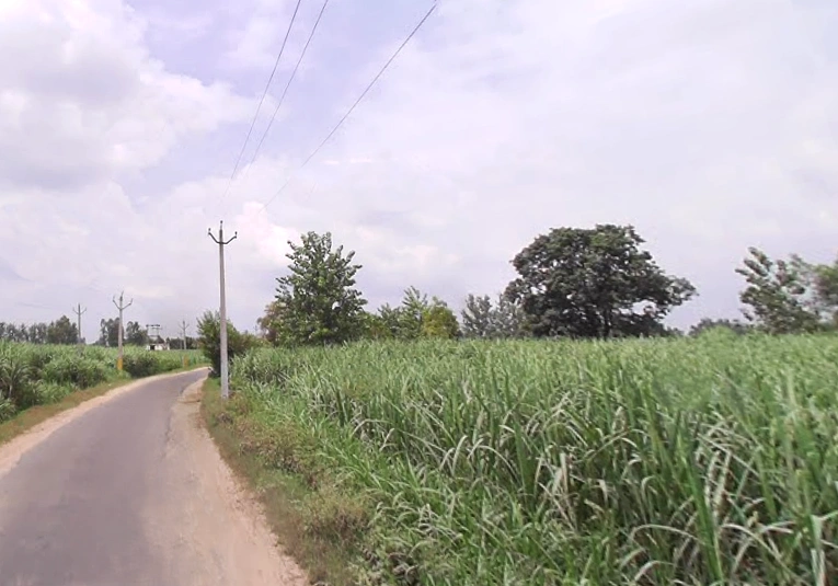 Behat Dehat, Uttar Pradesh 247121, India