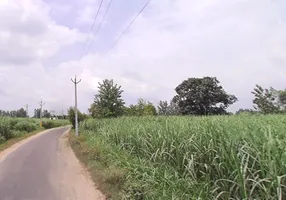 Behat Dehat, Uttar Pradesh 247121, India preview 3