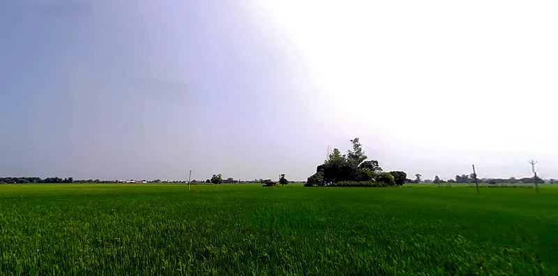 Rajpura, Punjab, India preview 2