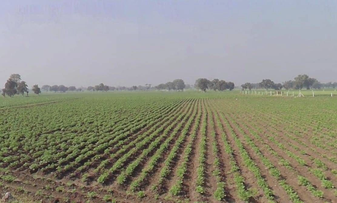 Matana khurd, Madhya Pradesh 456664, India