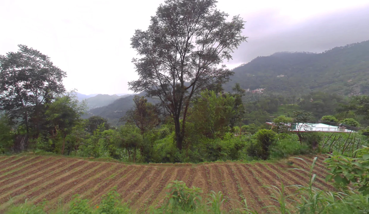 Dadahu, Himachal Pradesh 173022, India