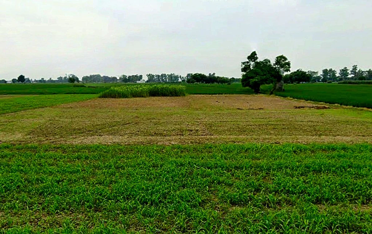 Devkar, Chhattisgarh, India