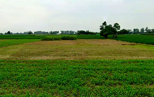 Devkar, Chhattisgarh, India preview 3