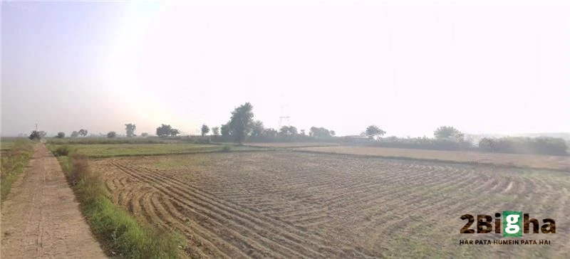 Garhi, Haryana 126116, India