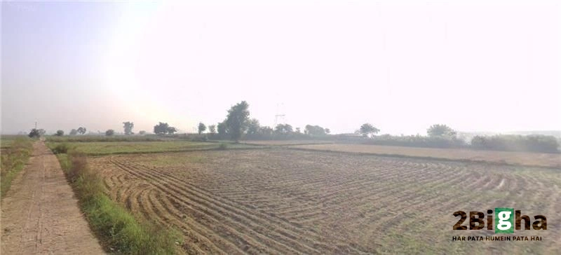 Garhi, Haryana 126116, India