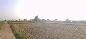 Garhi, Haryana 126116, India preview 2