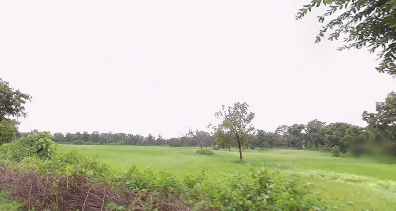 Bhainsa, Madhya Pradesh 470775, India preview 3