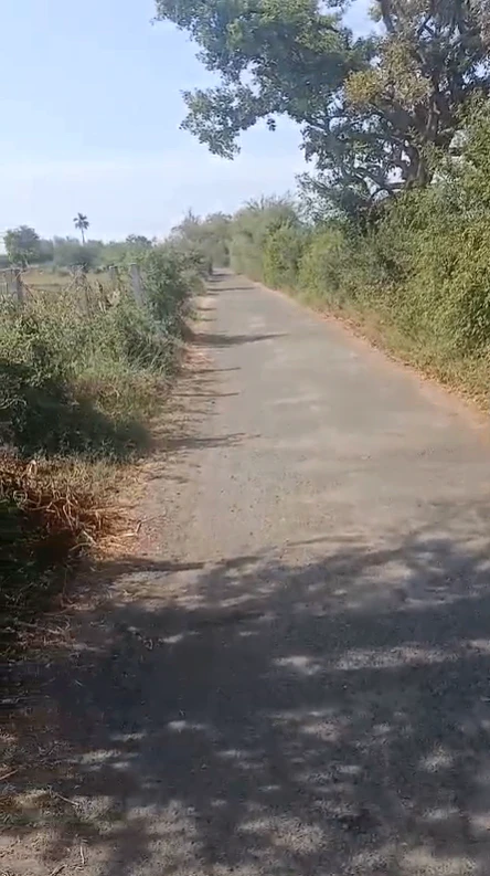 W92P+63 Hodal, Palwal, Haryana, India