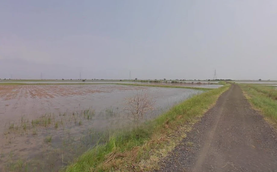 Zankhi, Gujarat 382455, India