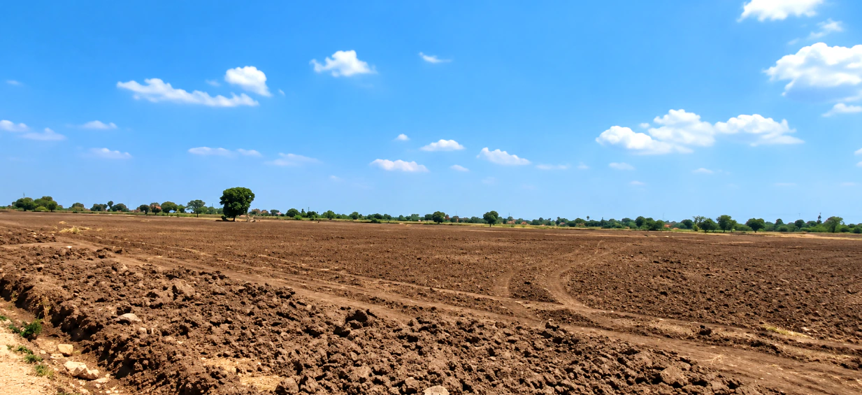 7F2R+8W Jeevangi, Vikarabad, Telangana, India - Photo 2